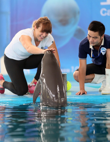 在这场比赛 在这场比赛