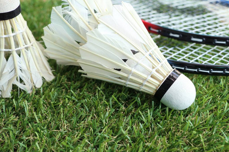 球员树立一 球员树立一