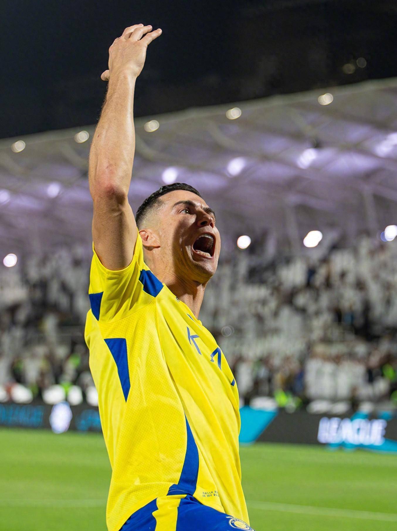 了这一点 了这一点