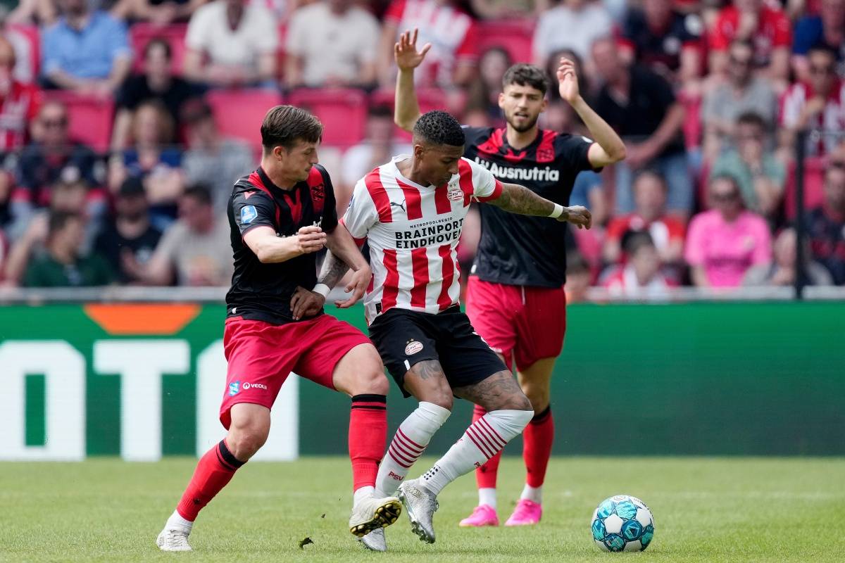 为球迷们奉 为球迷们奉