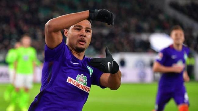 不仅展示了 不仅展示了